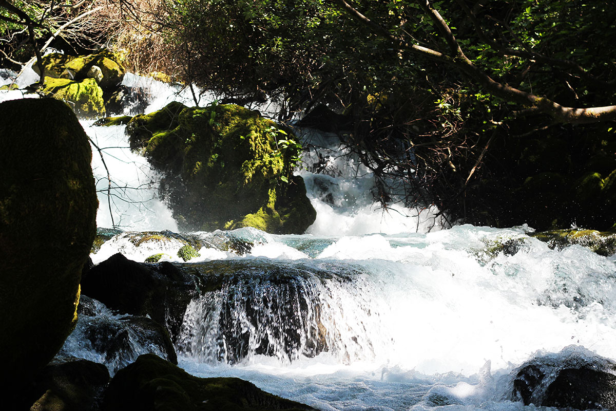 Ljuta River in Konavle, Dubrovnik region, Croatia Stock Photo - Alamy