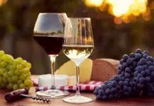 Choosing the Best Wines on Your Dubrovnik Holiday: Four Things You Need to Know best wines in Dubrovnik